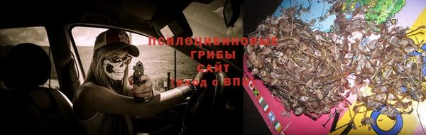 mdpv Михайлов