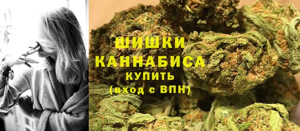 шишки Березники