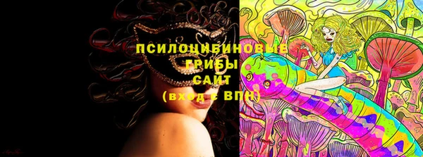 дмт Михайловск