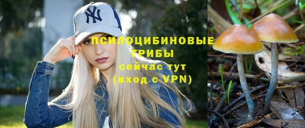 дживик Михайловка