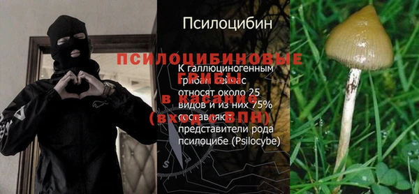 молекула духа Одинцово