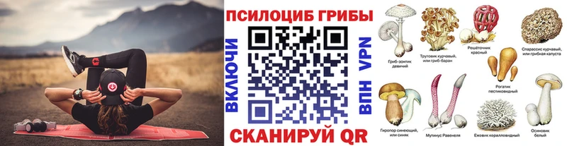 купить наркотик  Одинцово  Псилоцибиновые грибы Magic Shrooms 