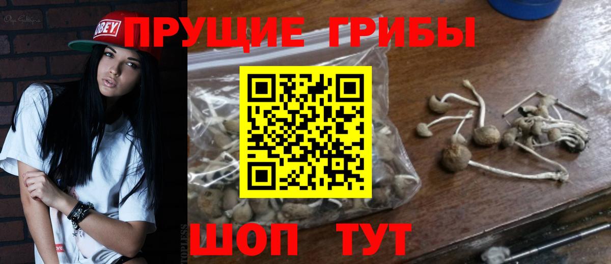 Псилоцибиновые грибы Magic Shrooms Одинцово