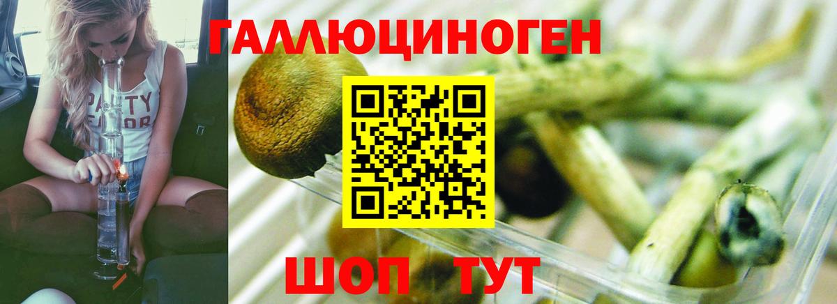 Одинцово  Галлюциногенные грибы мицелий  Вход с VPN 